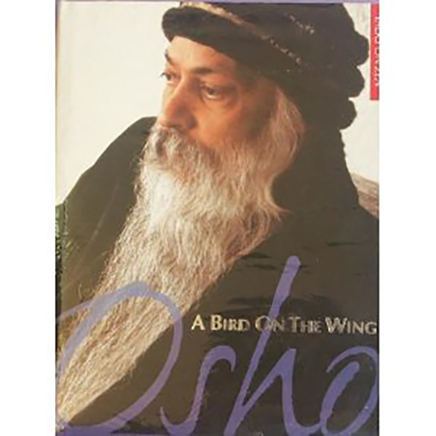 Image for A Bird on the Wing: Talks on Zen