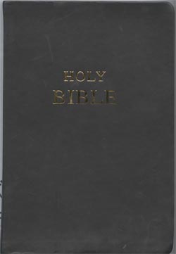 Image for The Holy Bible: Containing the Old and New Testaments New Revised Standard Version, Anglicized Edition. Leather
